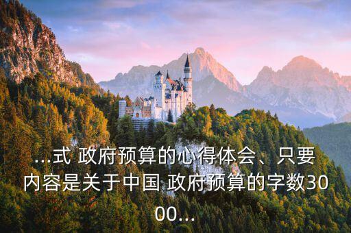 ...式 政府預算的心得體會、只要內容是關于中國 政府預算的字數3000...