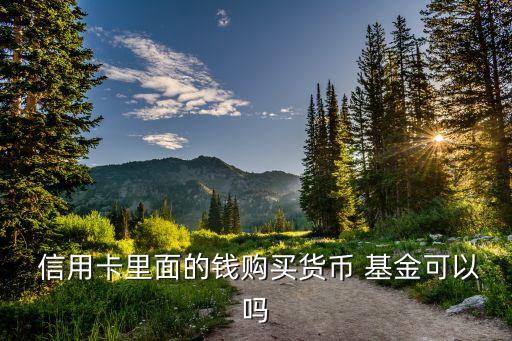  信用卡里面的錢購(gòu)買貨幣 基金可以嗎