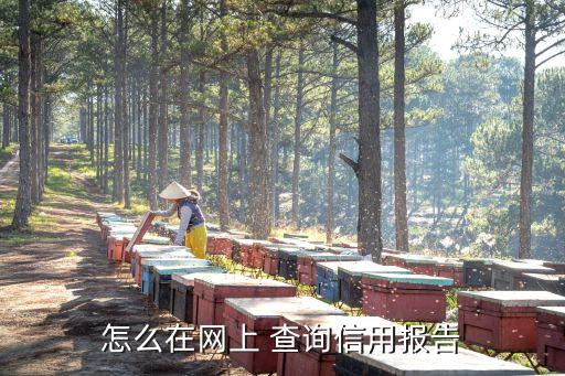 怎么在網(wǎng)上 查詢信用報告