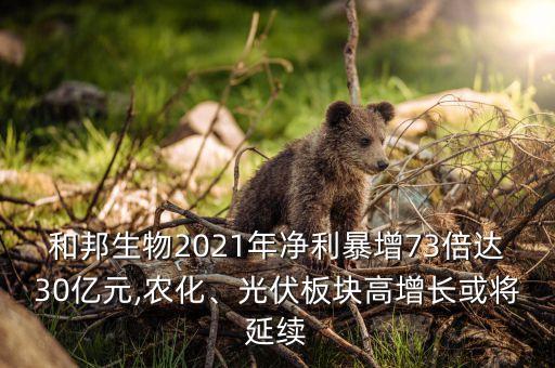 和邦生物2021年凈利暴增73倍達(dá)30億元,農(nóng)化、光伏板塊高增長或?qū)⒀永m(xù)
