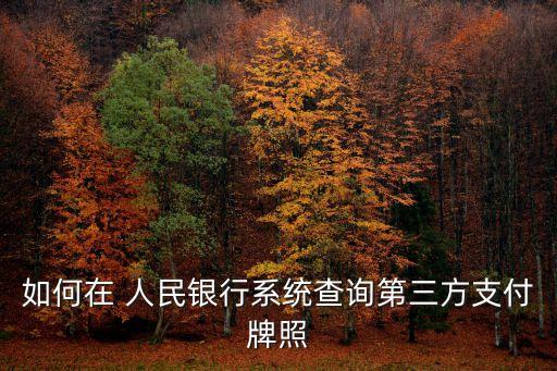 如何在 人民銀行系統(tǒng)查詢第三方支付牌照