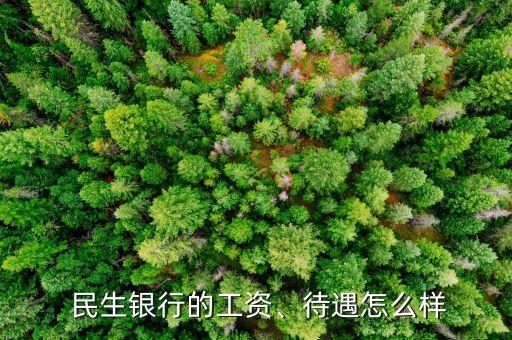  民生銀行的工資、待遇怎么樣