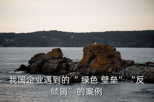 我國(guó)企業(yè)遇到的“ 綠色 壁壘”“反傾銷”的案例