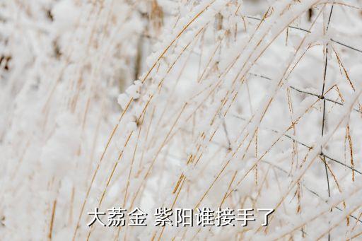 金紫陽集團最近消息,陜西金紫陽集團現(xiàn)狀