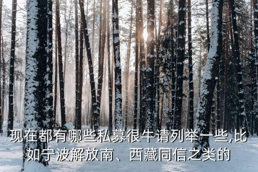 現(xiàn)在都有哪些私募很牛請列舉一些,比如寧波解放南、西藏同信之類的