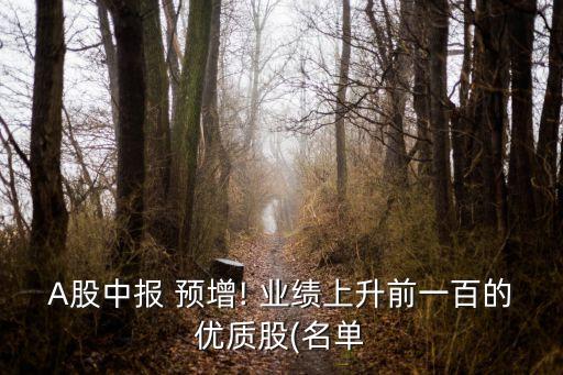 A股中報(bào) 預(yù)增! 業(yè)績(jī)上升前一百的優(yōu)質(zhì)股(名單