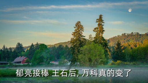 萬科集團董事長王石,深圳萬科集團董事長