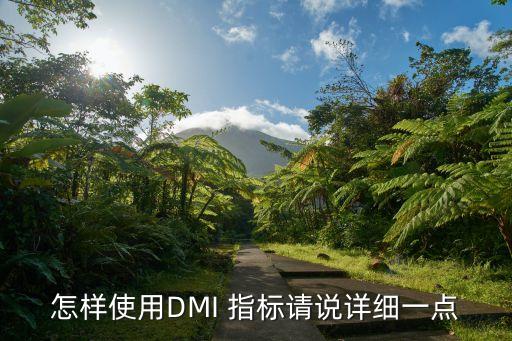怎樣使用DMI 指標(biāo)請(qǐng)說(shuō)詳細(xì)一點(diǎn)