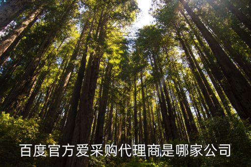百度官方愛采購代理商是哪家公司