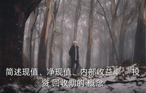 簡(jiǎn)述現(xiàn)值、凈現(xiàn)值、內(nèi)部收益率、 投資 回收期的 概念
