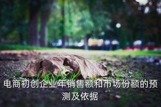 電商初創(chuàng)企業(yè)年銷售額和市場份額的預測及依據(jù)