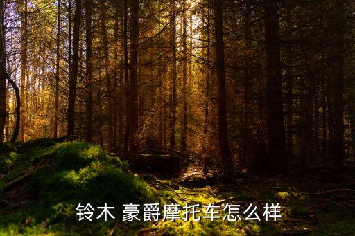 鈴木 豪爵摩托車(chē)怎么樣