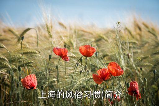 上海城開(kāi)會(huì),理想之城 開(kāi)會(huì)