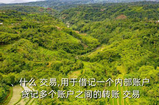 、什么 交易,用于借記一個內(nèi)部賬戶 貸記多個賬戶之間的轉(zhuǎn)賬 交易