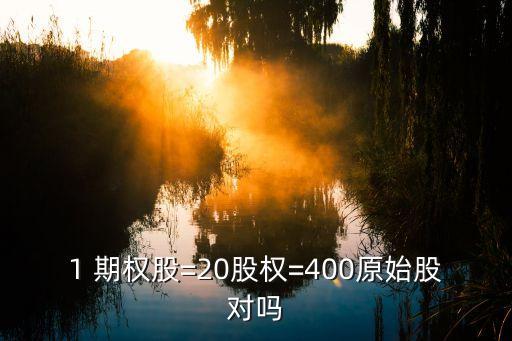 1 期權股=20股權=400原始股對嗎