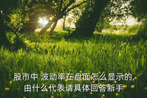  股市中 波動(dòng)率在盤面怎么顯示的,由什么代表請具體回答新手