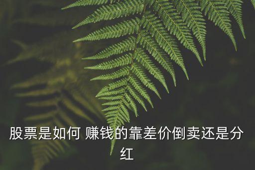 股票是如何 賺錢的靠差價(jià)倒賣還是分紅