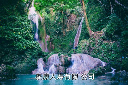 泰康保險資產管理公司