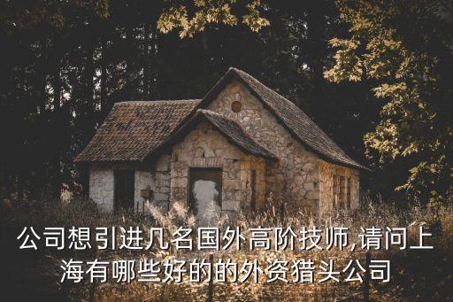 公司想引進(jìn)幾名國(guó)外高階技師,請(qǐng)問(wèn)上海有哪些好的的外資獵頭公司