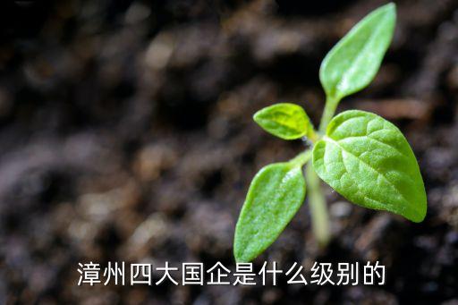 開(kāi)發(fā)區(qū)漳州漳龍集團(tuán),漳州漳龍集團(tuán)是做什么的