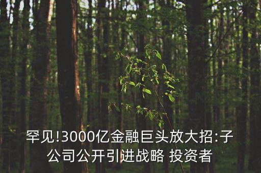 罕見!3000億金融巨頭放大招:子公司公開引進戰(zhàn)略 投資者