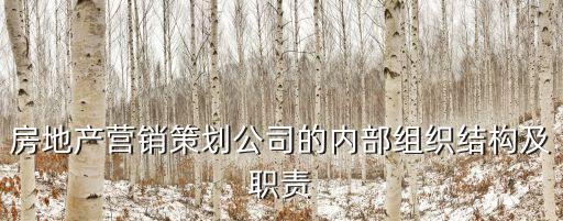 房地產(chǎn)營銷策劃公司的內(nèi)部組織結構及職責