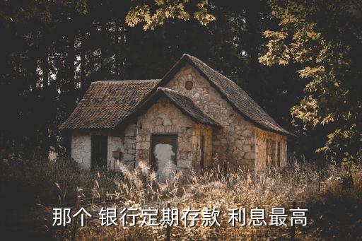 那個 銀行定期存款 利息最高
