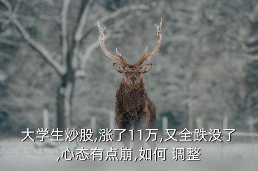 大學(xué)生炒股,漲了11萬(wàn),又全跌沒(méi)了,心態(tài)有點(diǎn)崩,如何 調(diào)整