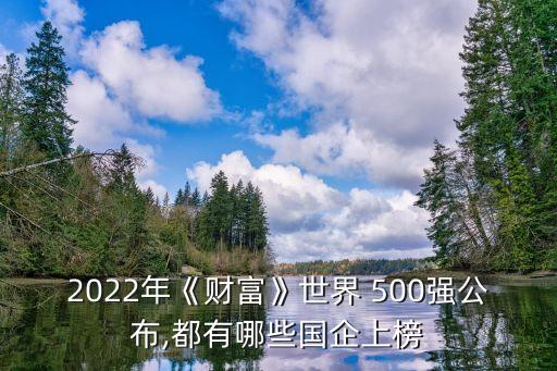2022年《財(cái)富》世界 500強(qiáng)公布,都有哪些國(guó)企上榜
