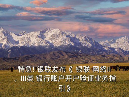 特急! 銀聯(lián)發(fā)布《 銀聯(lián) 網(wǎng)絡(luò)II、III類 銀行賬戶開戶驗(yàn)證業(yè)務(wù)指引》