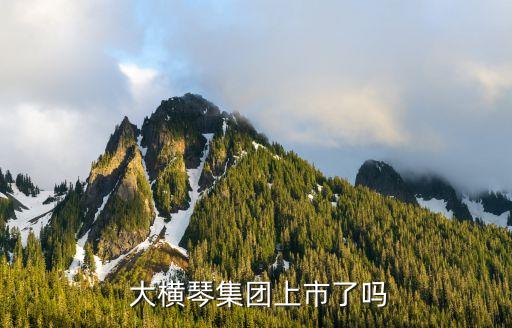 珠海大橫琴投資有限公司債券,珠海橫琴新區(qū)容成投資咨詢(xún)有限公司