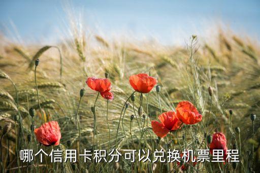 哪個(gè)信用卡積分可以?xún)稉Q機(jī)票里程