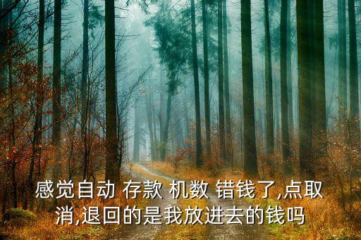 感覺自動 存款 機(jī)數(shù) 錯(cuò)錢了,點(diǎn)取消,退回的是我放進(jìn)去的錢嗎