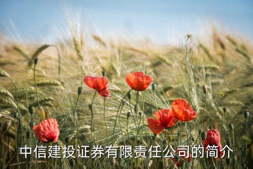 中信建投證券有限責任公司的簡介