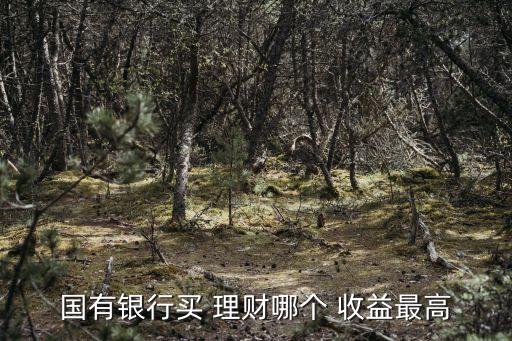 國(guó)有銀行買(mǎi) 理財(cái)哪個(gè) 收益最高
