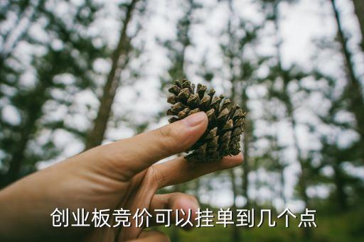  創(chuàng)業(yè)板競價(jià)可以掛單到幾個(gè)點(diǎn)
