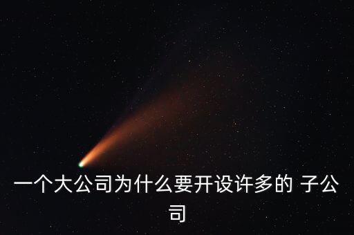 一個(gè)大公司為什么要開(kāi)設(shè)許多的 子公司
