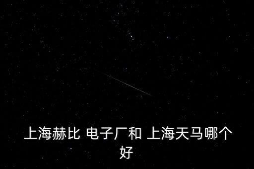  上海赫比 電子廠和 上海天馬哪個好
