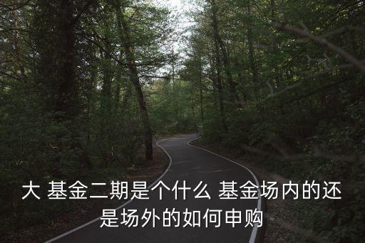 大 基金二期是個(gè)什么 基金場(chǎng)內(nèi)的還是場(chǎng)外的如何申購(gòu)