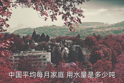 中國(guó)平均每月家庭 用水量是多少?lài)? class=