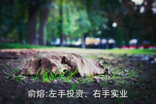俞熔:左手投資、右手實(shí)業(yè)