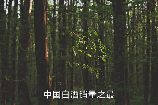 中國(guó)白酒銷(xiāo)量之最
