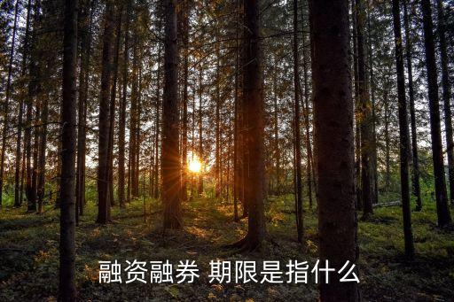  融資融券 期限是指什么