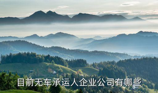 目前無車承運(yùn)人企業(yè)公司有哪些