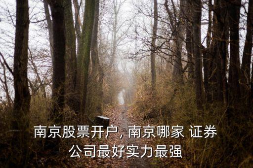  南京股票開戶, 南京哪家 證券 公司最好實(shí)力最強(qiáng)