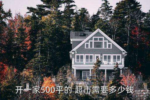 大超市投資,一個超市需要投資多少錢