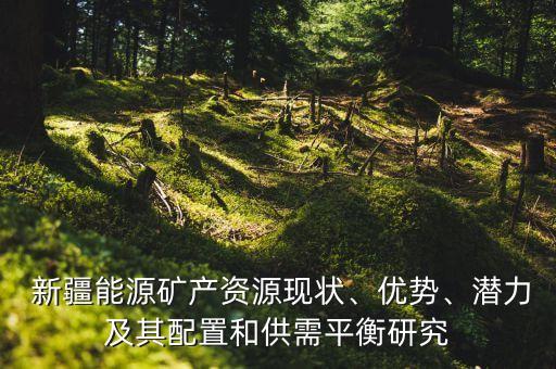  新疆能源礦產(chǎn)資源現(xiàn)狀、優(yōu)勢、潛力及其配置和供需平衡研究