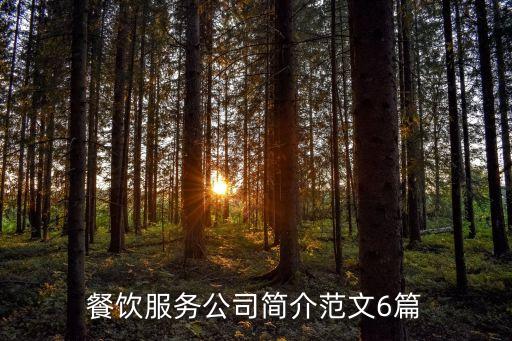 餐飲服務(wù)公司簡(jiǎn)介范文6篇