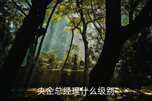 央企總經理什么級別