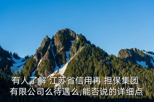 有人了解 江蘇省信用再 擔(dān)保集團 有限公司么待遇么,能否說的詳細(xì)點